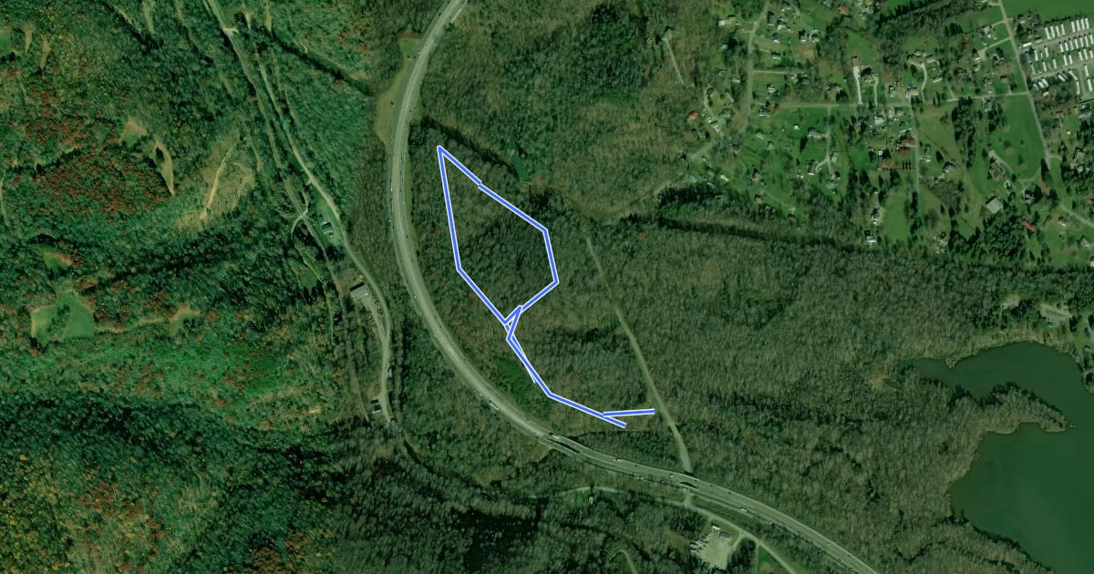 Маршрут Volunteer Loop Trail на спутниковом снимке