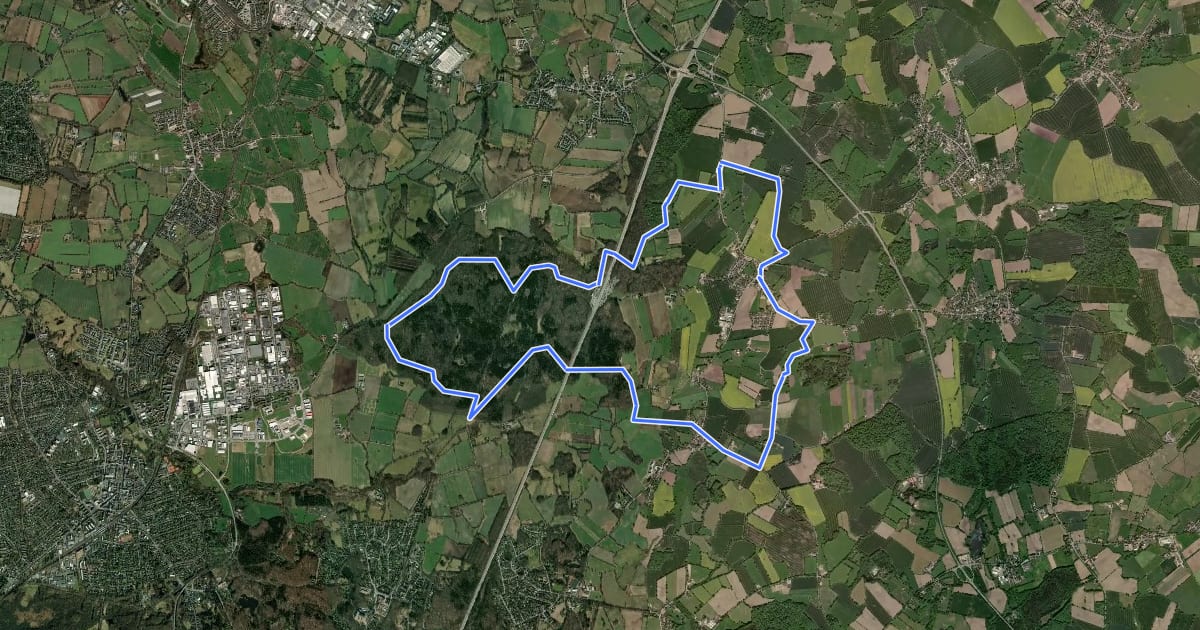 Маршрут Vom Beimoorwald zum Gölmer Moor на спутниковом снимке
