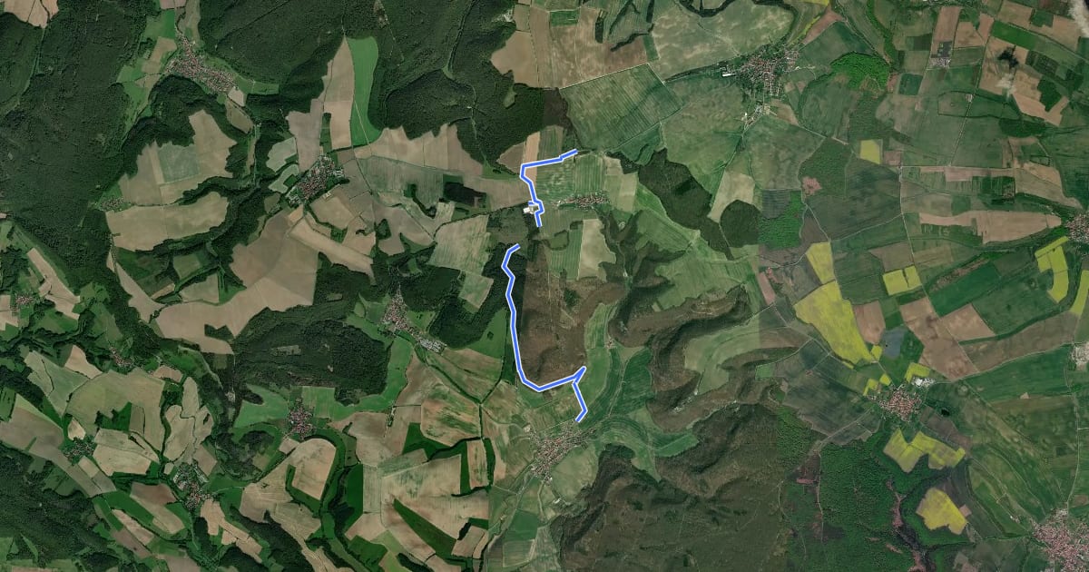 Маршрут Vom Martinfeld zum Warteberg? на спутниковом снимке