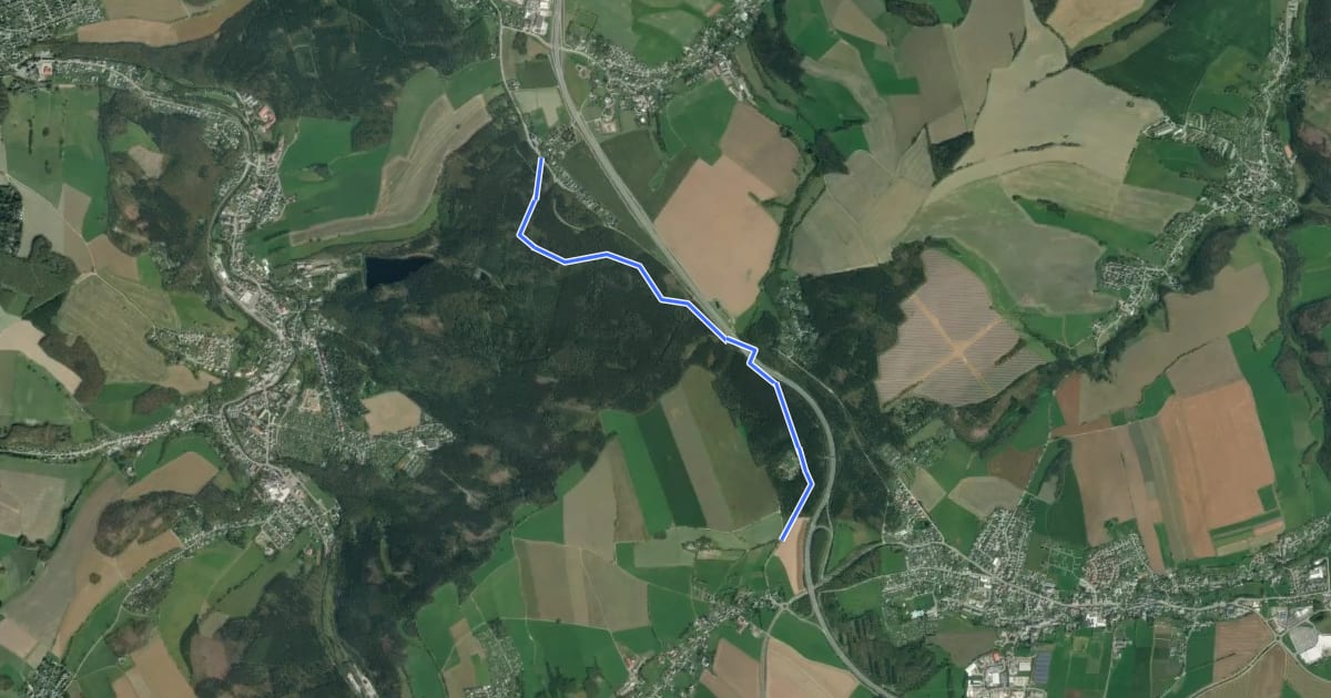 Маршрут Vom Rundweg Dittersdorf zum Goldenen Hahn на спутниковом снимке