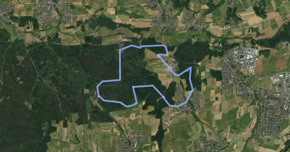 Маршрут Von Schöllenbach zum Kreuzweiher und zurück на спутниковом снимке