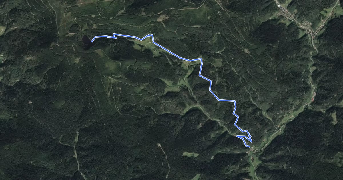 Маршрут Vor Seebach - Glaswaldsee на спутниковом снимке