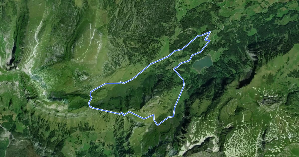 Маршрут Voralp - Niederipass - Höchst - Voralp на спутниковом снимке