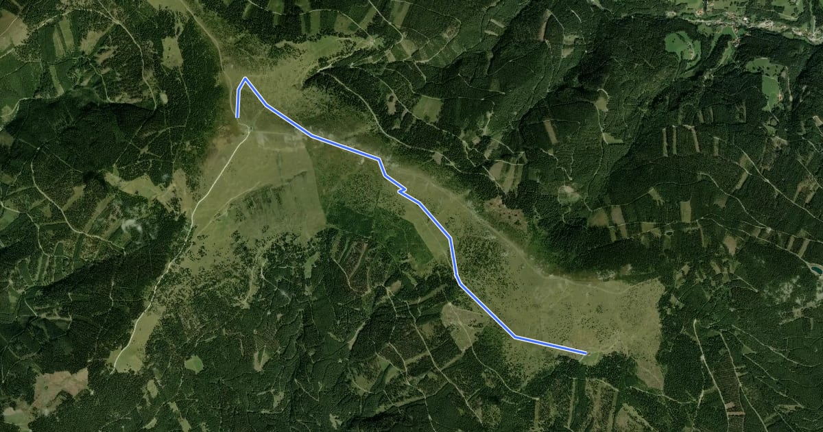 Маршрут Vorauer Schwaig Trail на спутниковом снимке
