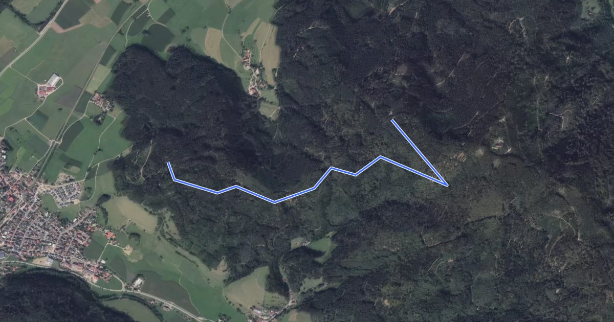 Маршрут Vorderer Hörnlewald - Am Umsetzer на спутниковом снимке