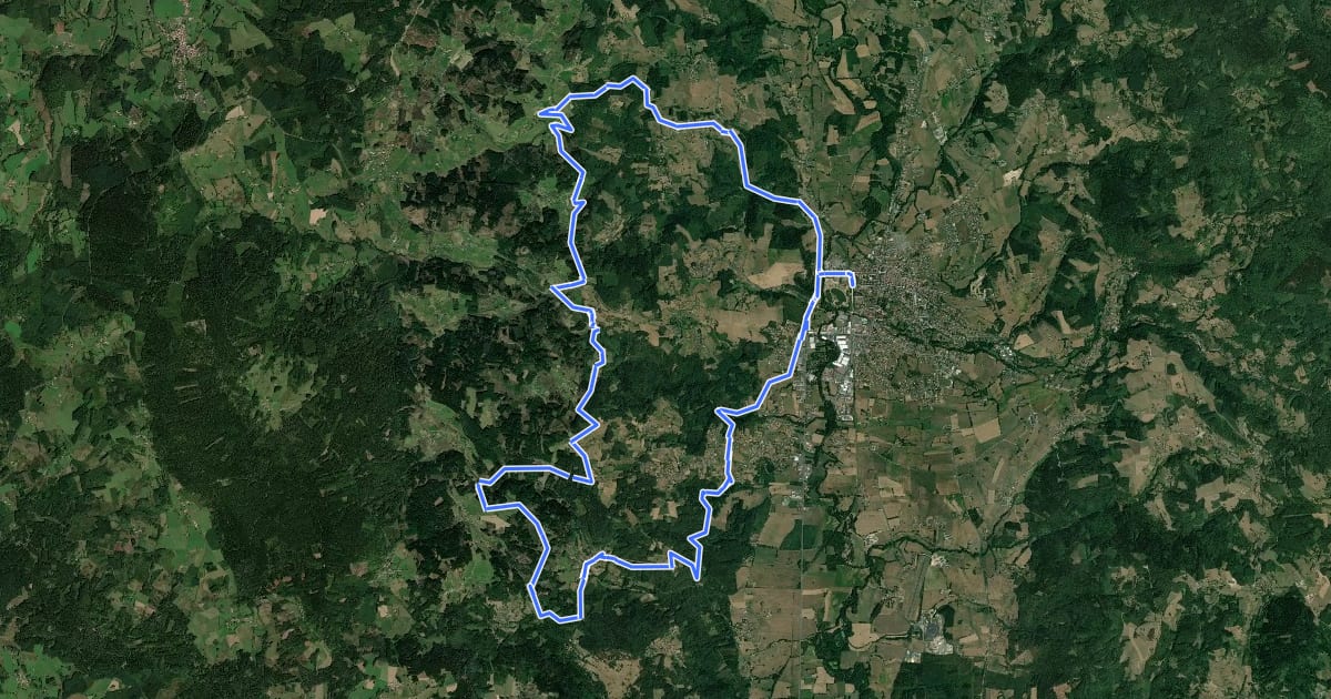 Маршрут VTT FFC Les Côtes du Livradois N° 29 на спутниковом снимке