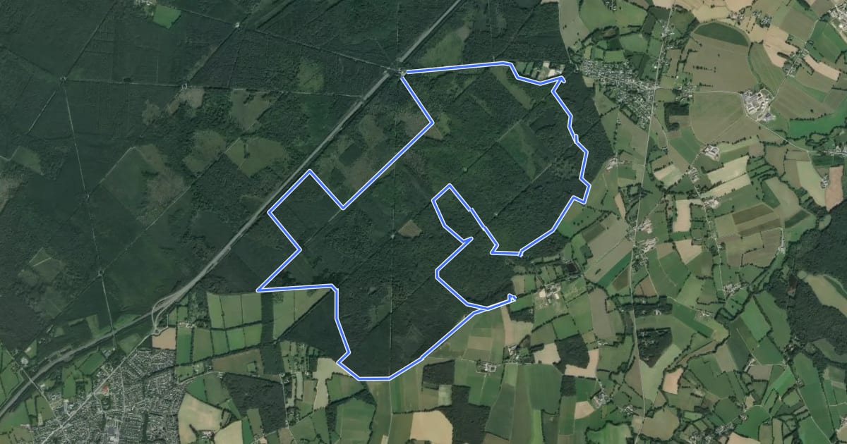 Маршрут VTT n°2 - Sud Mi-Forêt на спутниковом снимке