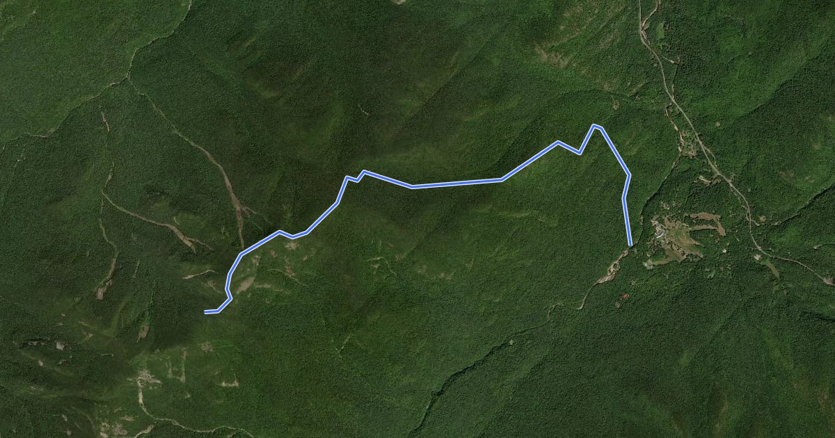 Маршрут W.A. White Trail на спутниковом снимке