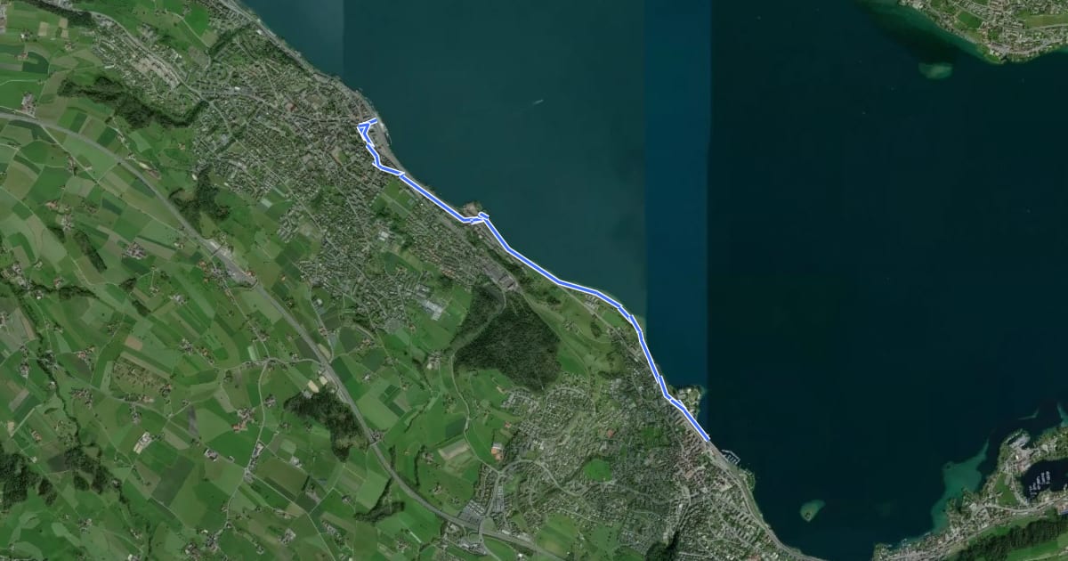 Маршрут Wädenswil - Richterswil (Seeweg) на спутниковом снимке