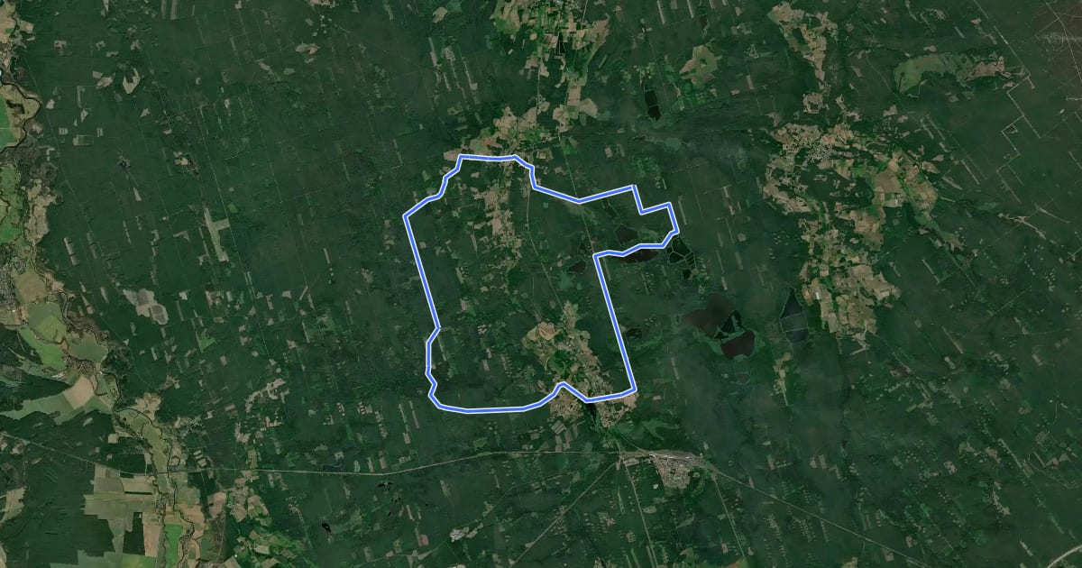 Маршрут Węgliniec pętla niebieska przyrodnicza на спутниковом снимке