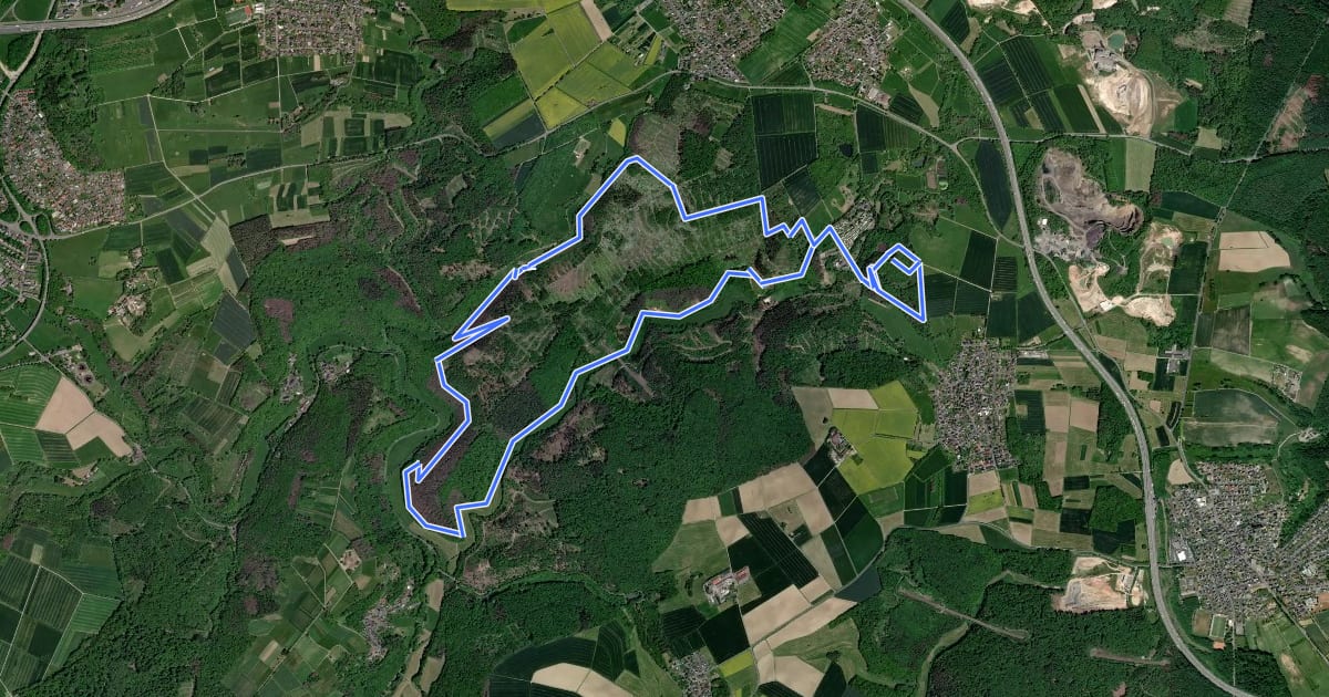Маршрут Wäller Tour Eisenbachtal на спутниковом снимке