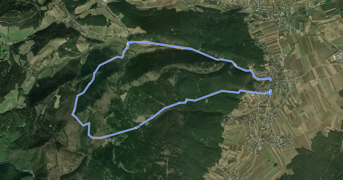Маршрут Würflach - Lärbaumkreuz - Johannesbachklamm Rundwanderweg на спутниковом снимке