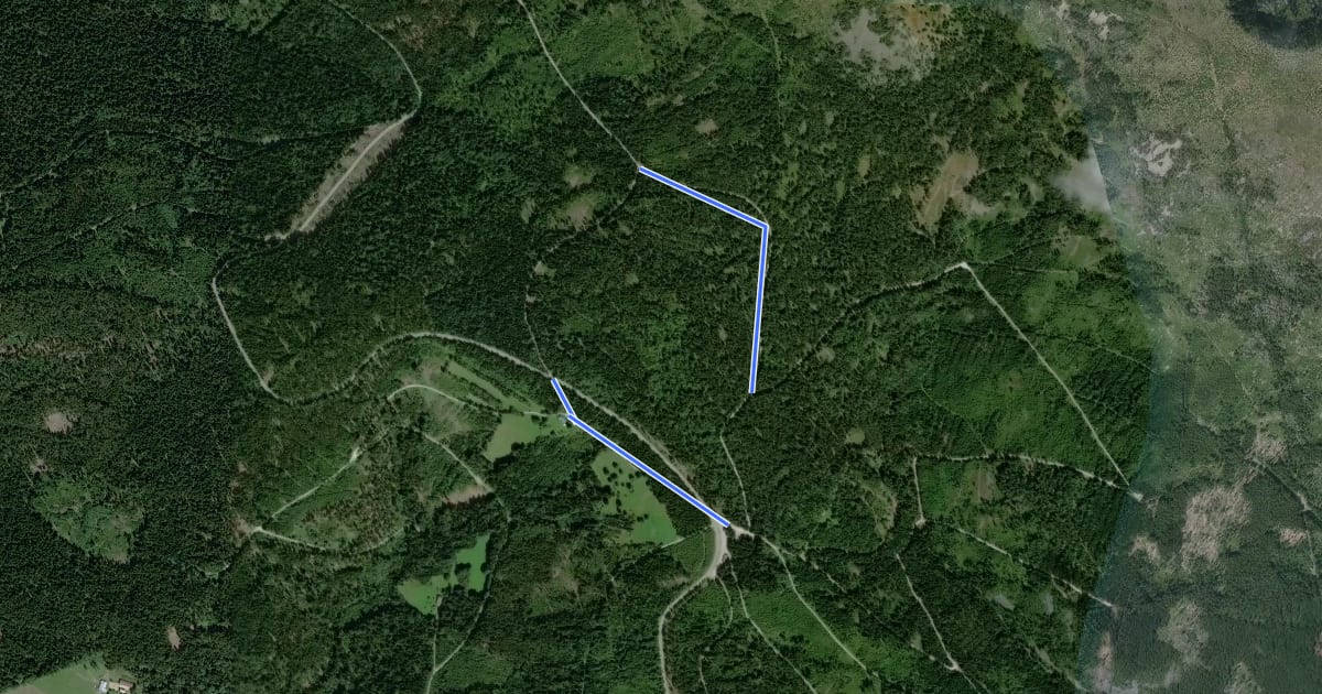 Маршрут W1 (Lohberg, Winterwanderweg) на спутниковом снимке
