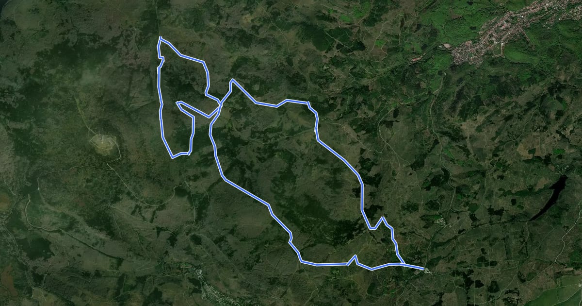 Маршрут W8 Hohnekamm Trail-Tour на спутниковом снимке