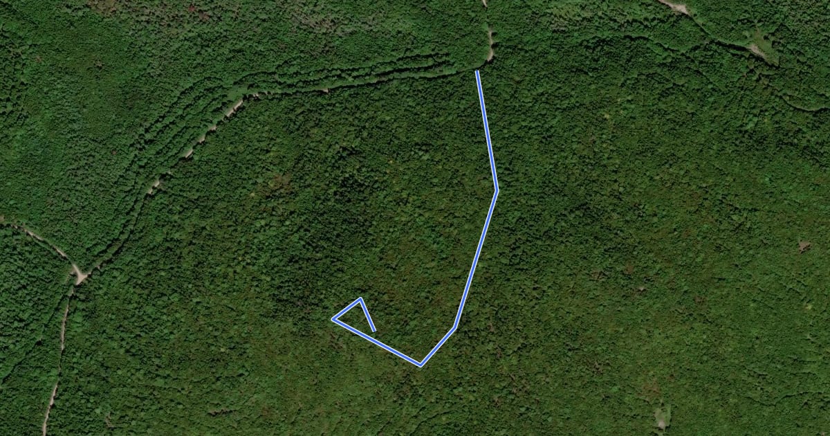 Маршрут Wabassus Mountain Trail на спутниковом снимке