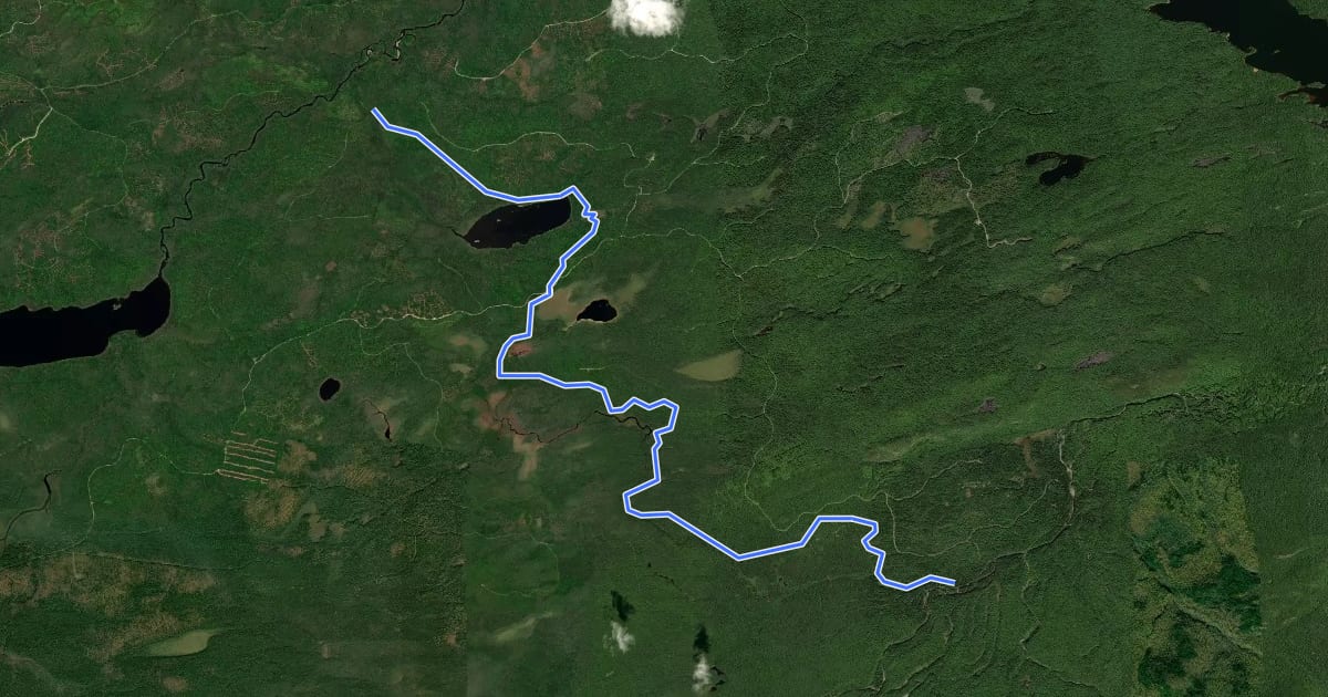 Маршрут Wadleigh Brook Trail на спутниковом снимке