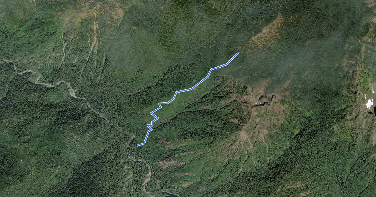 Маршрут Wagonwheel Lake Trail на спутниковом снимке