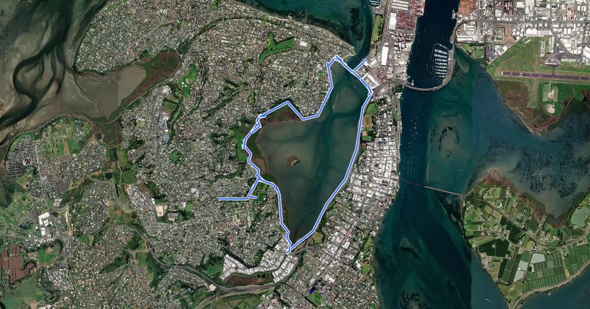 Маршрут Waikareao Estuary Shared Path на спутниковом снимке