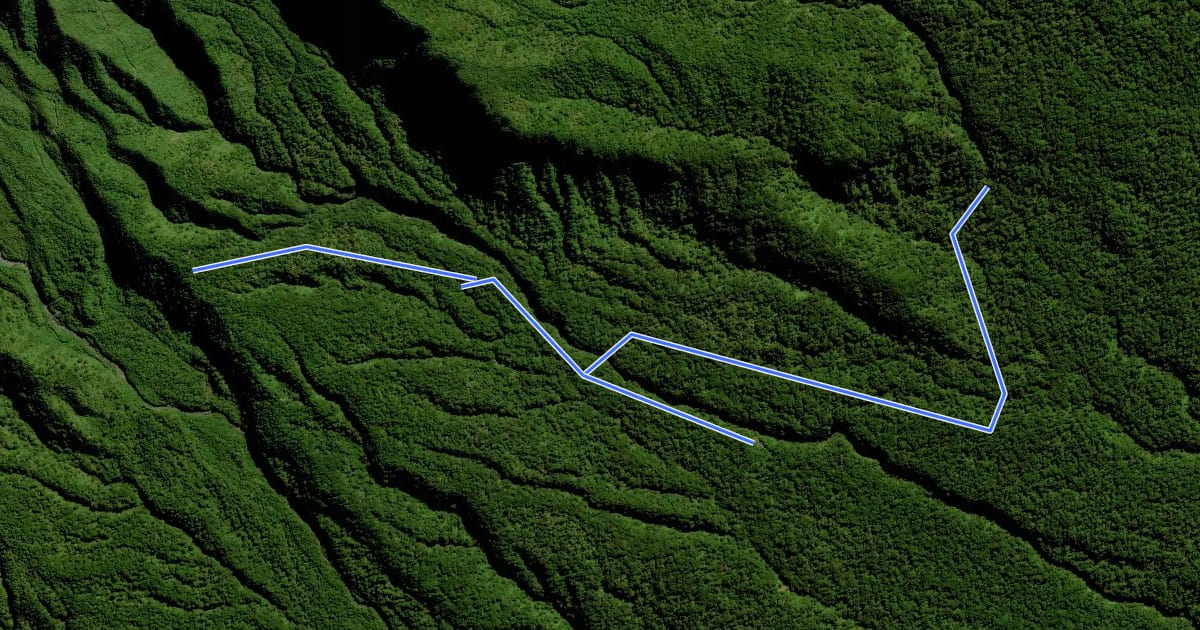 Маршрут Waingongoro Track на спутниковом снимке