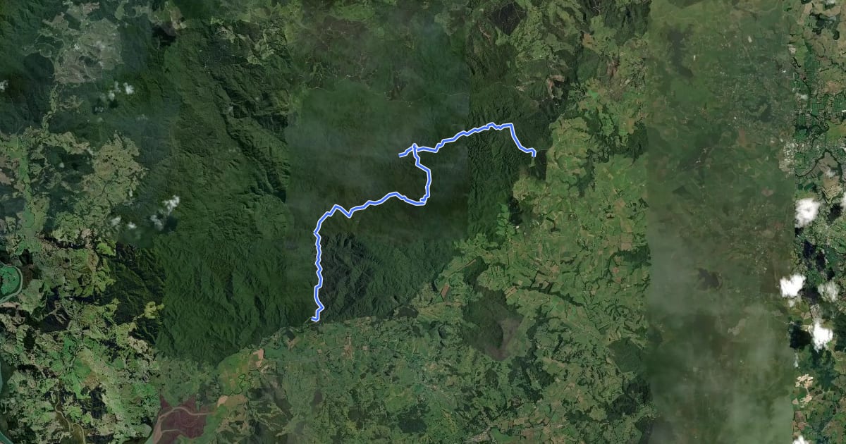 Маршрут Waipapa River Track на спутниковом снимке