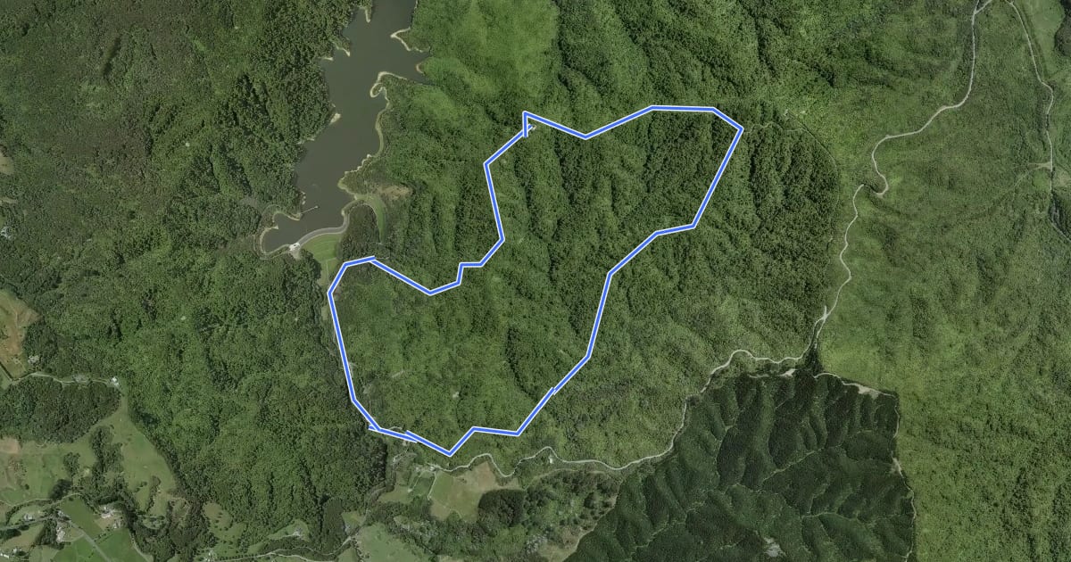 Маршрут Wairoa Loop Track на спутниковом снимке