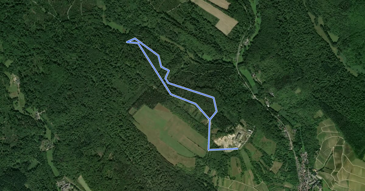 Маршрут Wald.Easy на спутниковом снимке