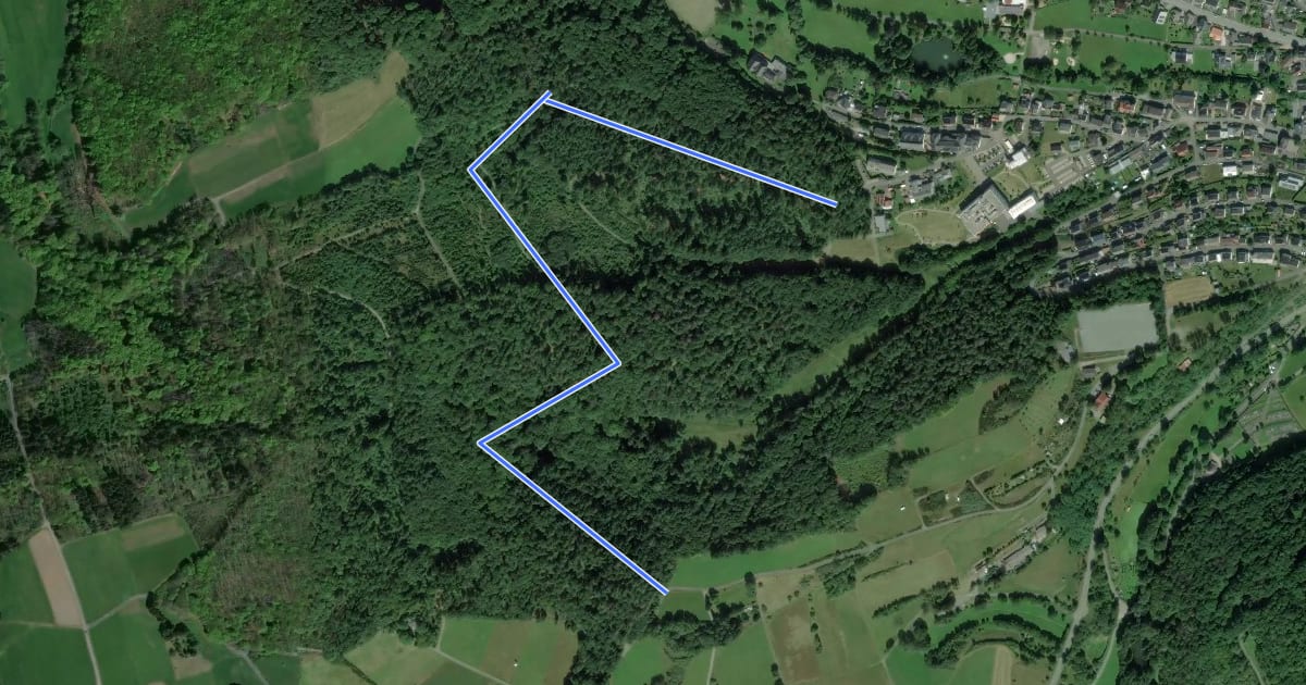 Маршрут Wald Erlebnispfad на спутниковом снимке