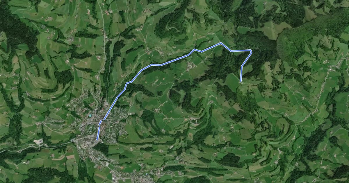 Маршрут Wald - Farneralp на спутниковом снимке