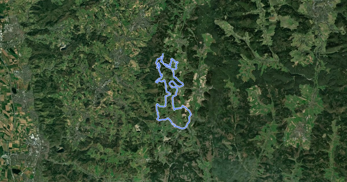 Маршрут Wald-Michelbach 1 на спутниковом снимке