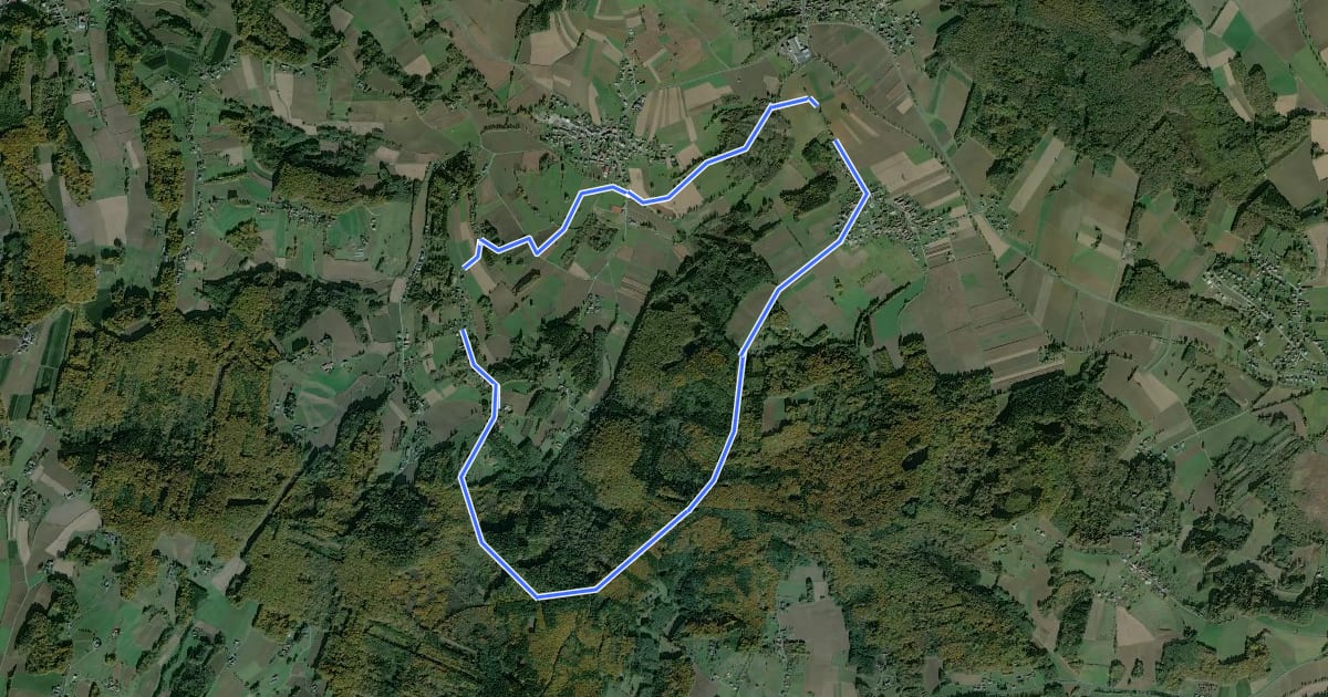 Маршрут Wald- & Naturwanderweg на спутниковом снимке