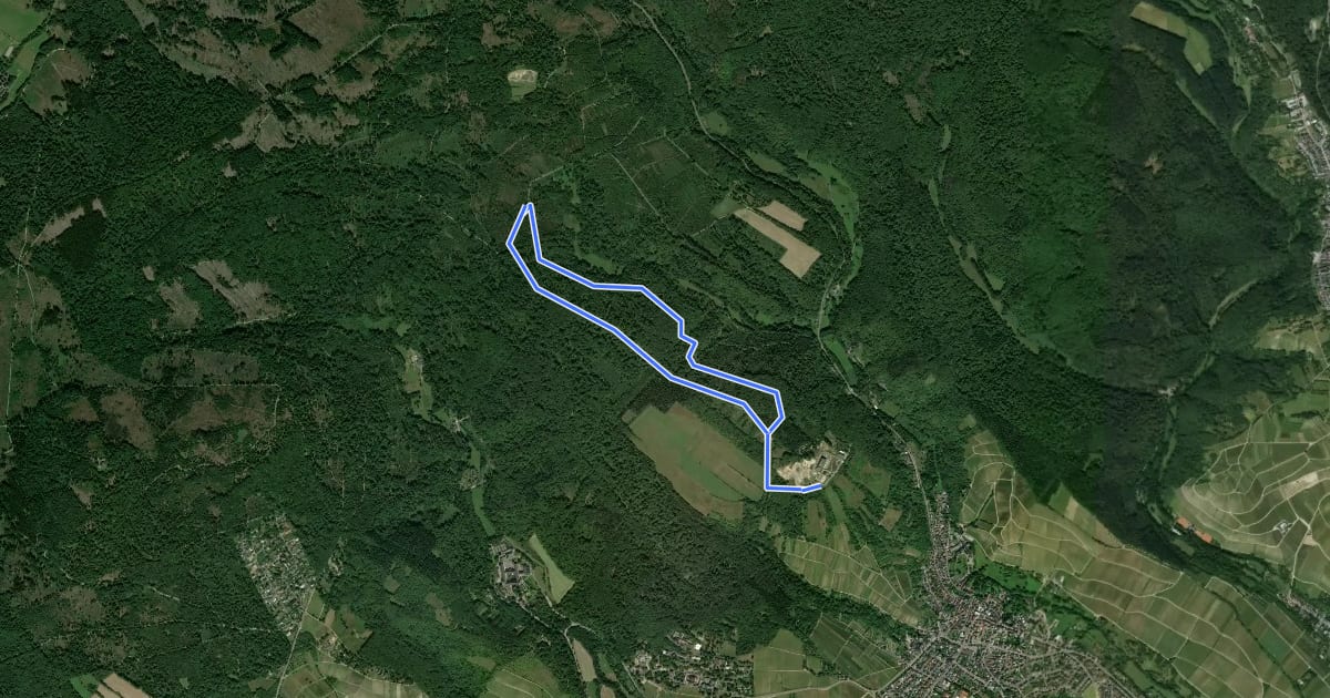 Маршрут Wald.Pro на спутниковом снимке
