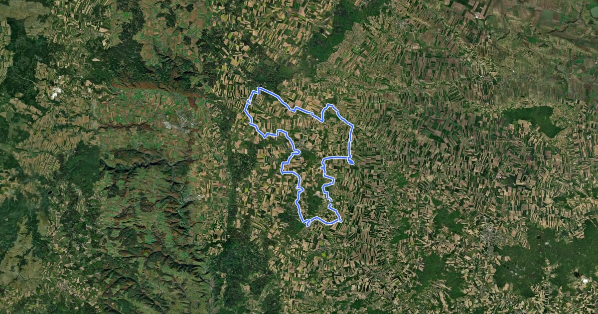 Маршрут Wald & Reben-Radtour на спутниковом снимке