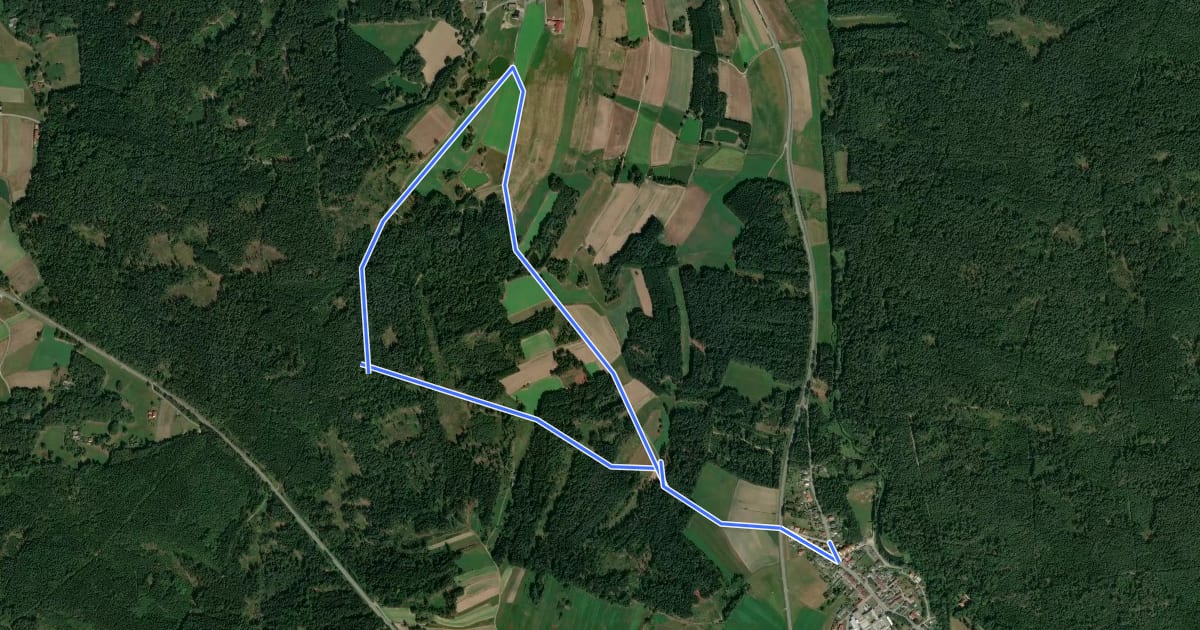 Маршрут Wald und Tier на спутниковом снимке