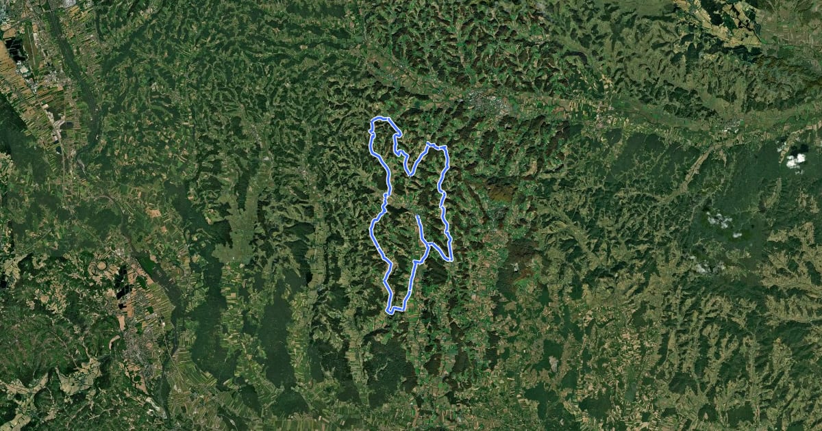 Маршрут Wald- und Wiesentour на спутниковом снимке