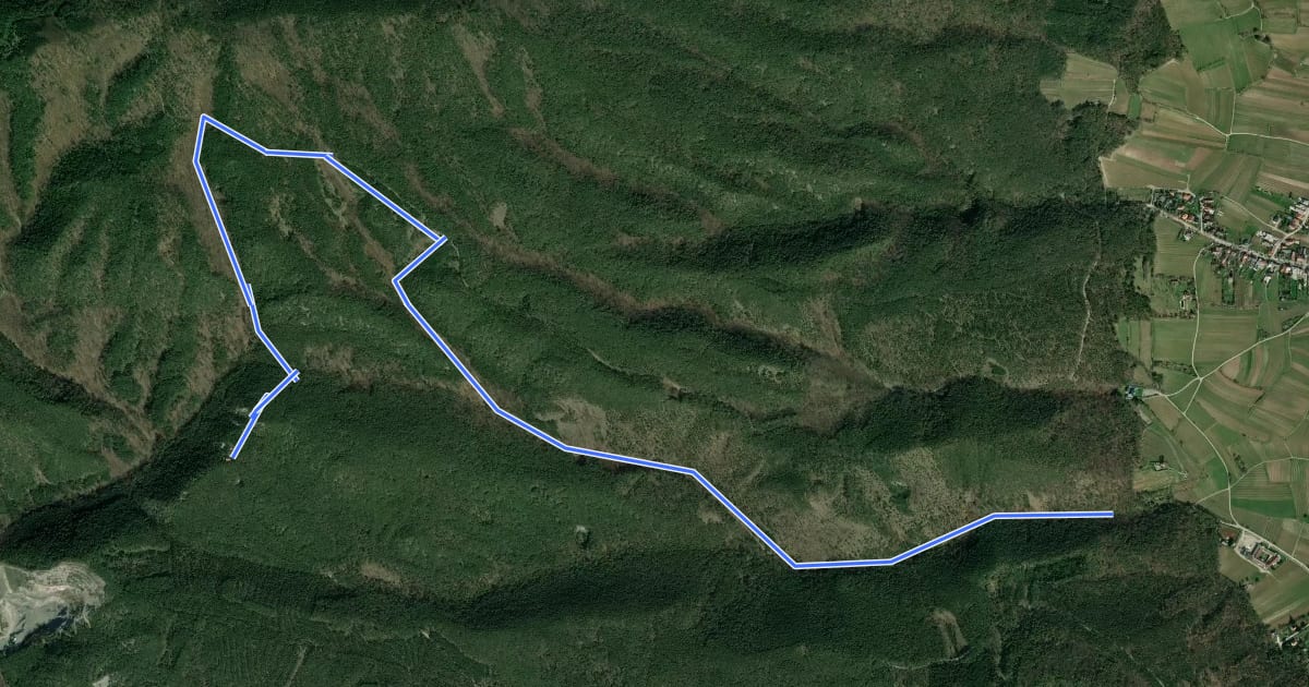 Маршрут Waldandacht - Manhartsberg - Vöslauer Hütte на спутниковом снимке