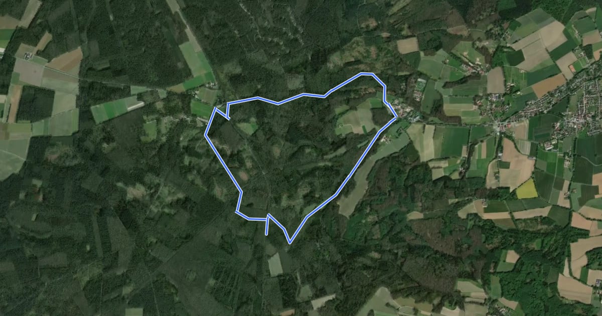 Маршрут Waldbeerenberg Rundweg A3 на спутниковом снимке