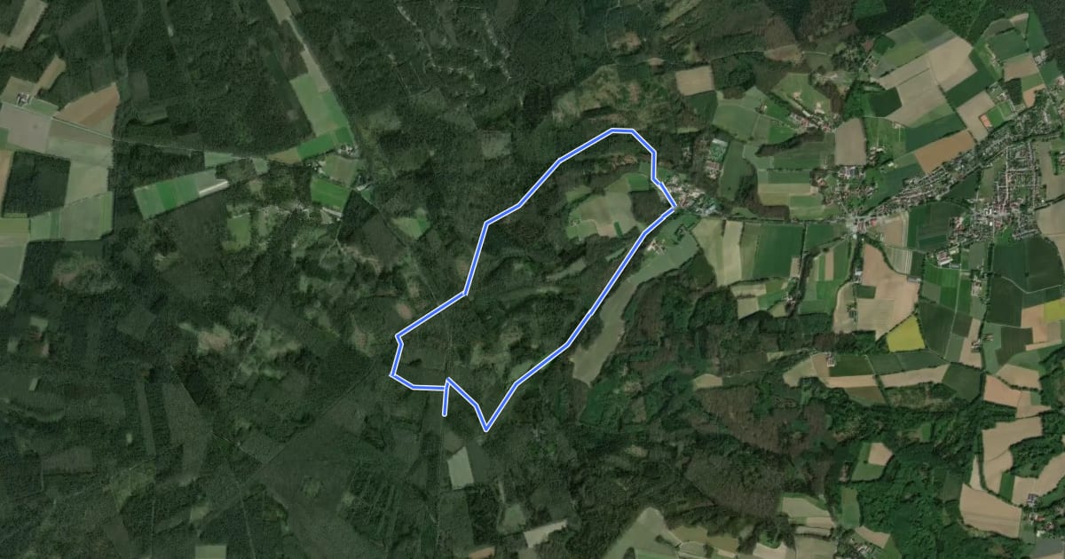 Маршрут Waldbeerenberg Rundweg A4 на спутниковом снимке