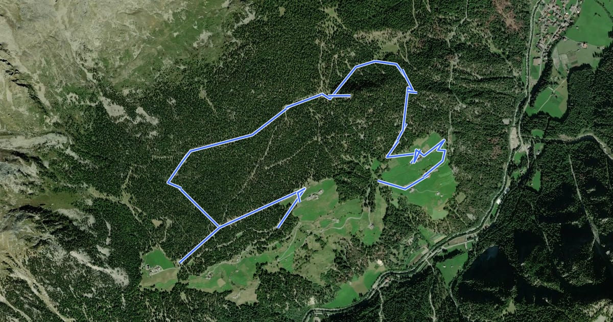 Маршрут Waldbergbauer-Weg - Sentiero del contadino di montagna на спутниковом снимке