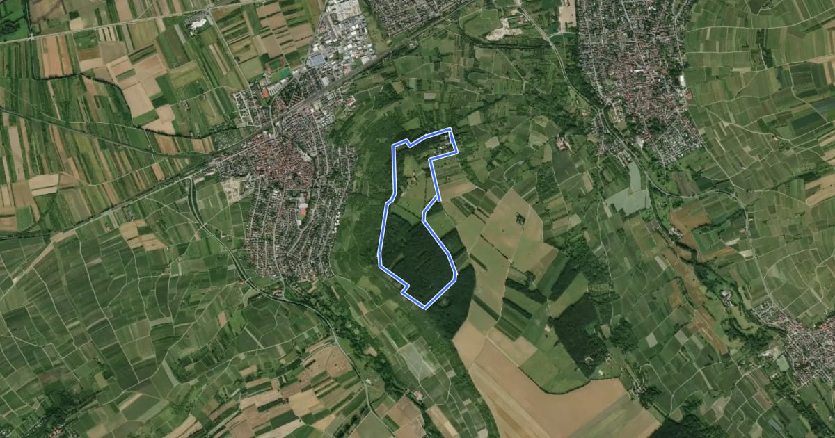 Маршрут Waldblick Runde на спутниковом снимке