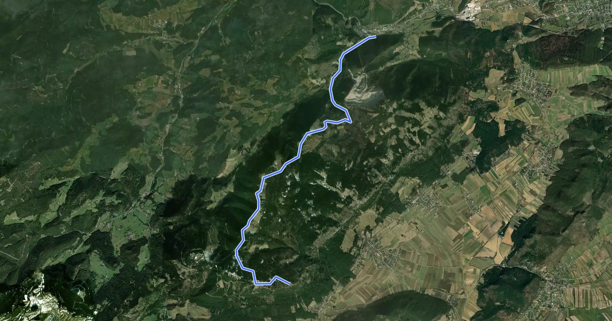 Маршрут Waldegg - Waldeggersteig - Waldeggerhaus - Eicherthaus - Turmsteighütte на спутниковом снимке