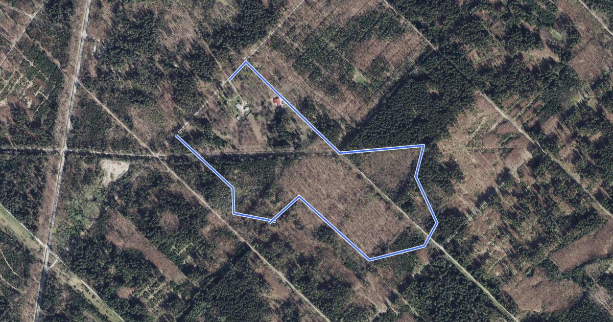 Маршрут Walderlebnispfad Grünwald на спутниковом снимке