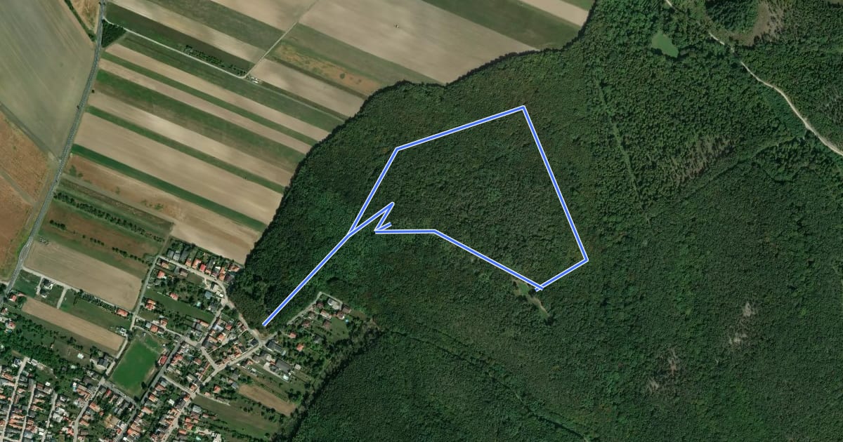 Маршрут Walderlebnisweg 1 (Hornstein) на спутниковом снимке