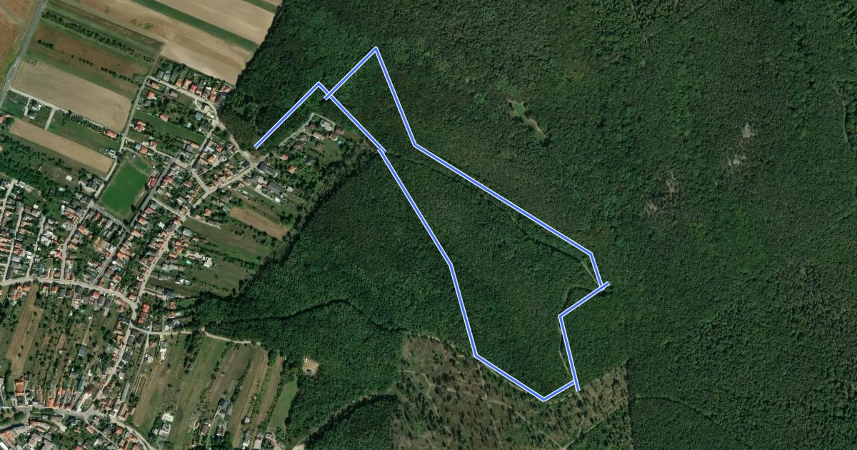 Маршрут Walderlebnisweg 2 (Hornstein) на спутниковом снимке