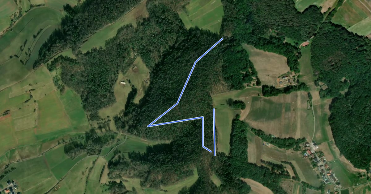 Маршрут Waldforscherpfad на спутниковом снимке