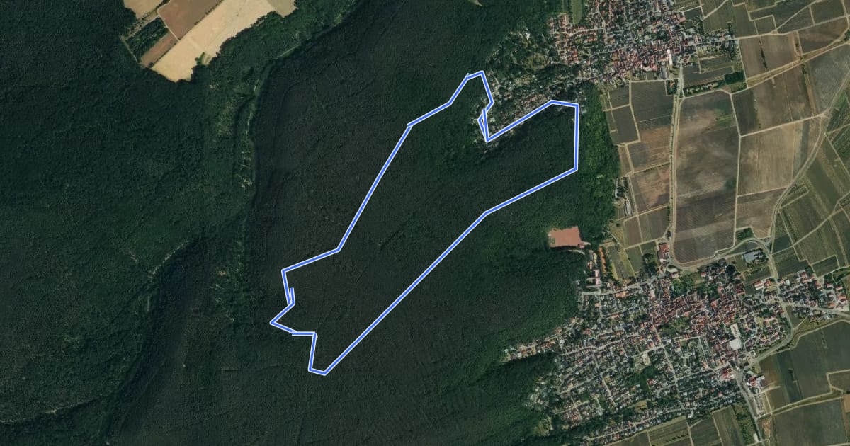 Маршрут Waldfroschweg на спутниковом снимке