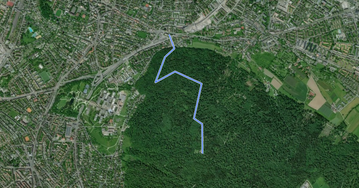Маршрут Waldgarten - Waldhüsli на спутниковом снимке