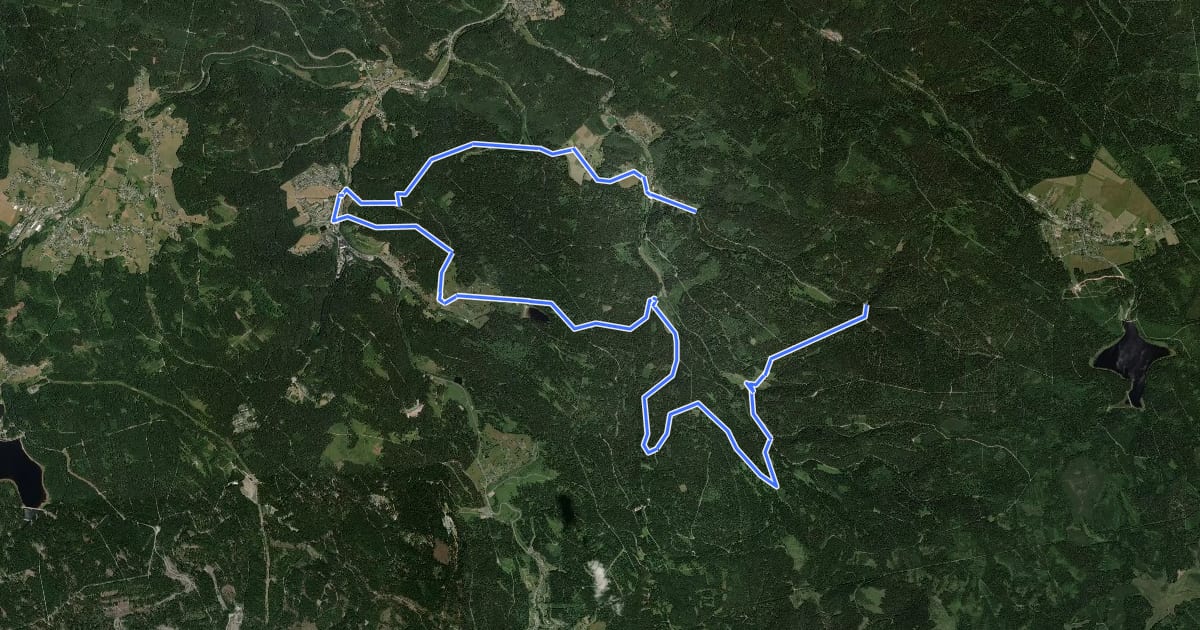 Маршрут Waldgebiet-Rundweg на спутниковом снимке