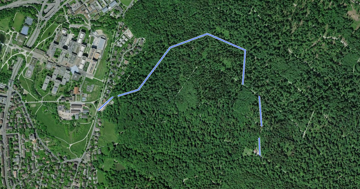 Маршрут Waldhüsli - Strickhof на спутниковом снимке
