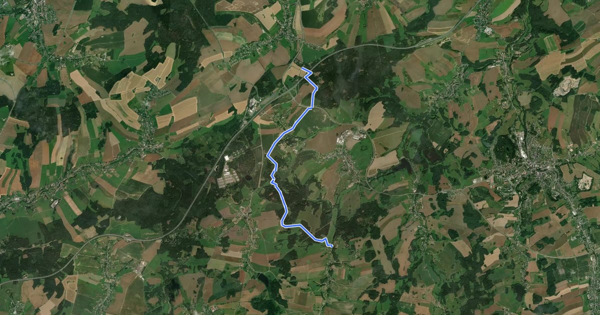Маршрут Waldhaus Ebersbrunn - Hirschfeld - Lochmühle - Stangengrün Talmühle на спутниковом снимке