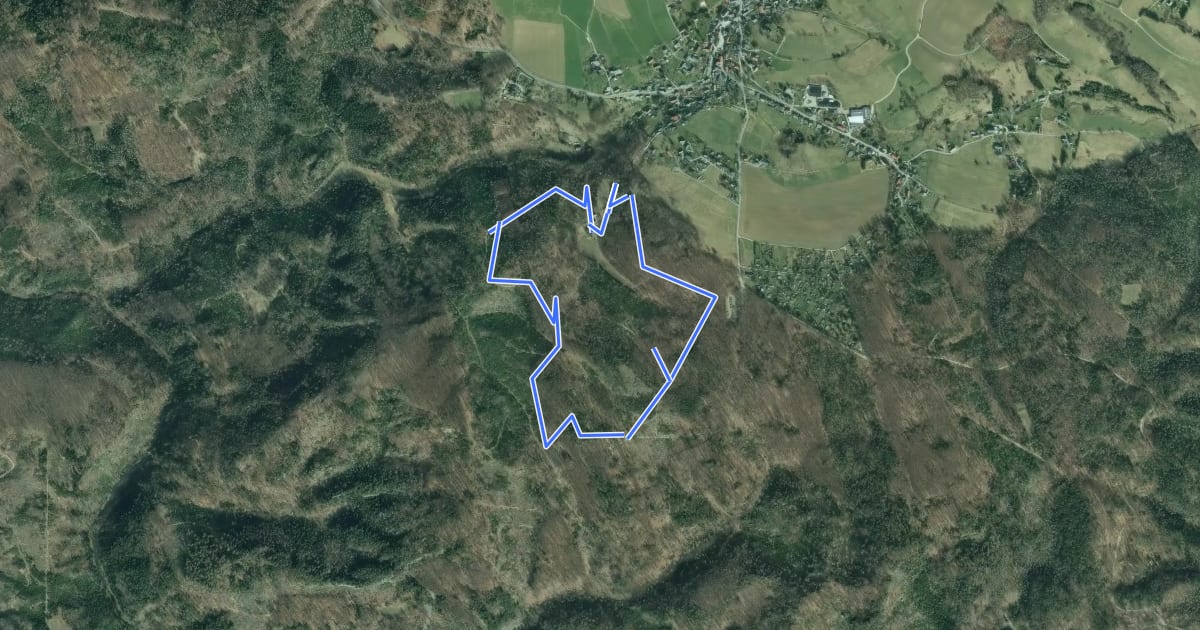 Маршрут Waldkundeweg на спутниковом снимке